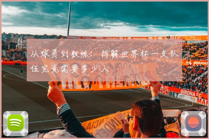 从球员到教练：拆解世界杯一支队伍究竟需要多少人