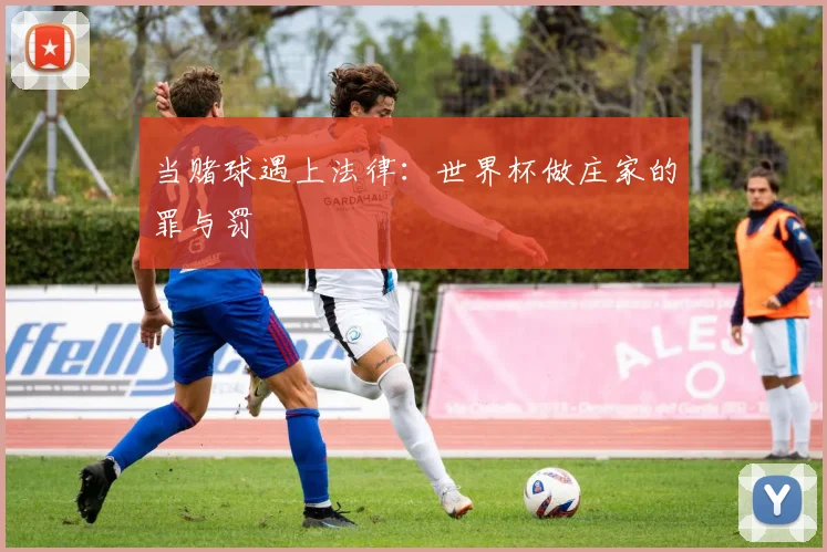 当赌球遇上法律:世界杯做庄家的罪与罚