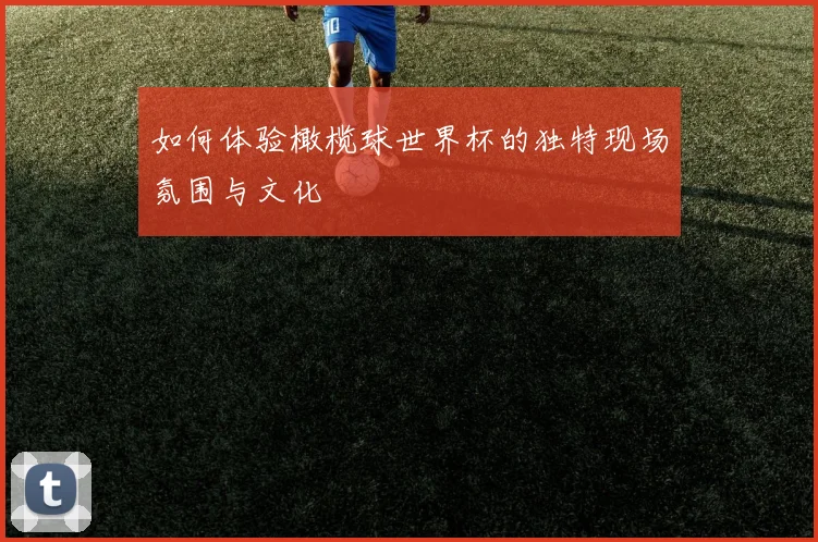 如何体验橄榄球世界杯的独特现场氛围与文化