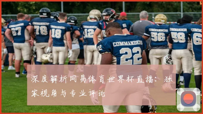 深度解析网易体育世界杯直播：独家视角与专业评论